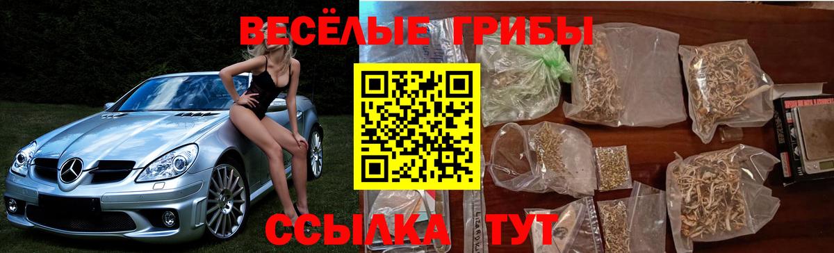Галлюциногенные грибы Psilocybine cubensis  Вход с VPN  Златоуст 